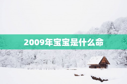 2009年宝宝是什么命