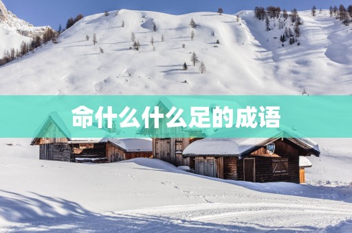 命什么什么足的成语