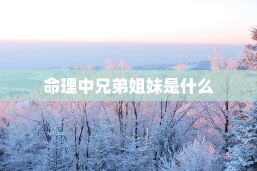 命理中兄弟姐妹是什么