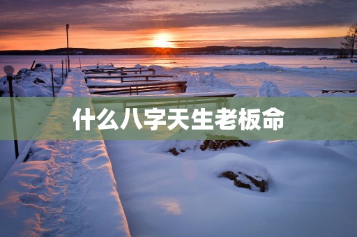 什么八字天生老板命