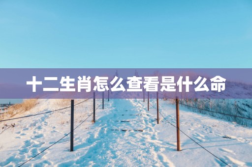 十二生肖怎么查看是什么命