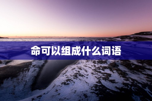 命可以组成什么词语
