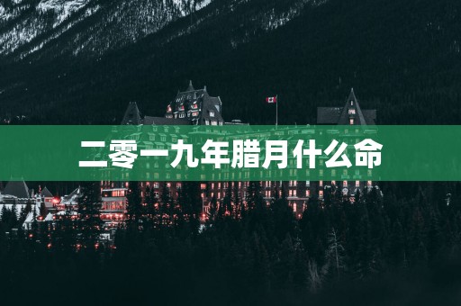 二零一九年腊月什么命