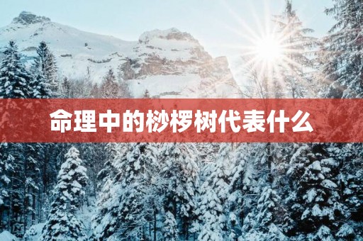 命理中的桫椤树代表什么