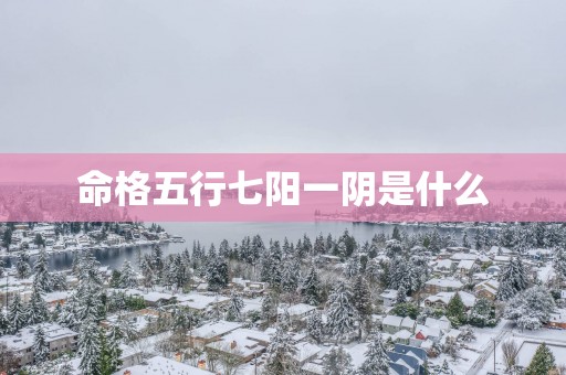 命格五行七阳一阴是什么
