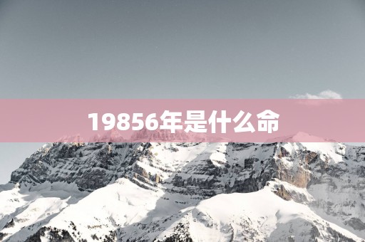 19856年是什么命