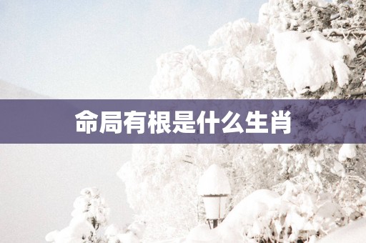 命局有根是什么生肖