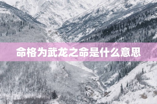 命格为武龙之命是什么意思
