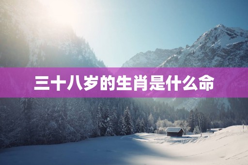 三十八岁的生肖是什么命