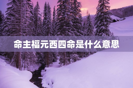 命主福元西四命是什么意思