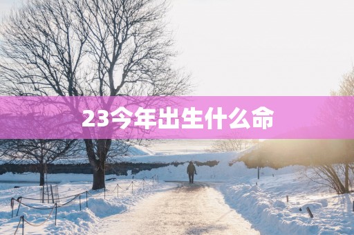 23今年出生什么命