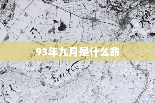 93年九月是什么命
