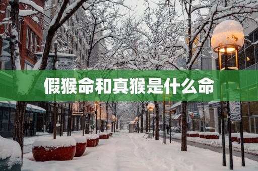 假猴命和真猴是什么命