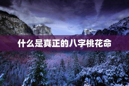 什么是真正的八字桃花命