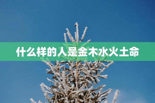 什么样的人是金木水火土命