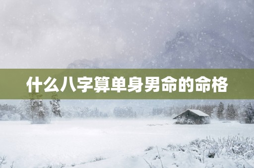 什么八字算单身男命的命格