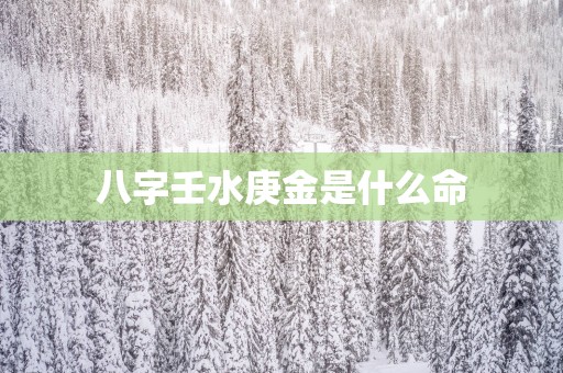 八字壬水庚金是什么命