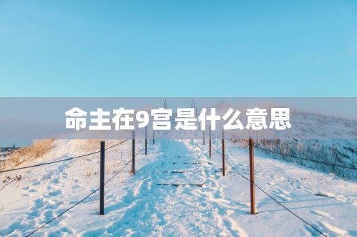 命主在9宫是什么意思