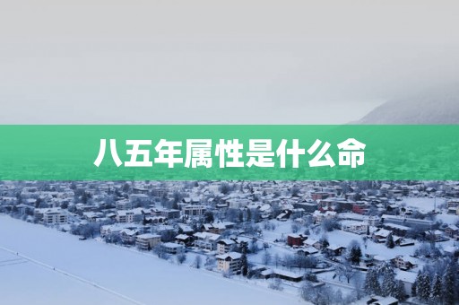 八五年属性是什么命