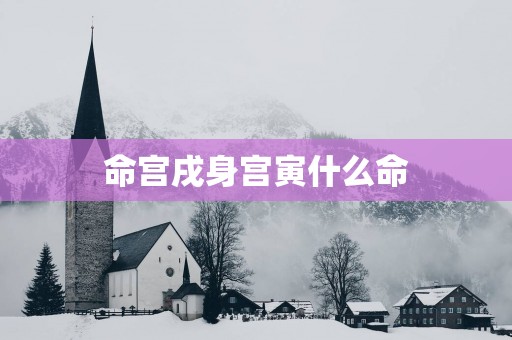 命宫戌身宫寅什么命