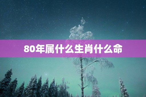 80年属什么生肖什么命