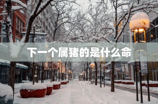 下一个属猪的是什么命