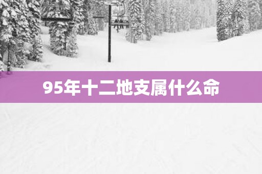 95年十二地支属什么命