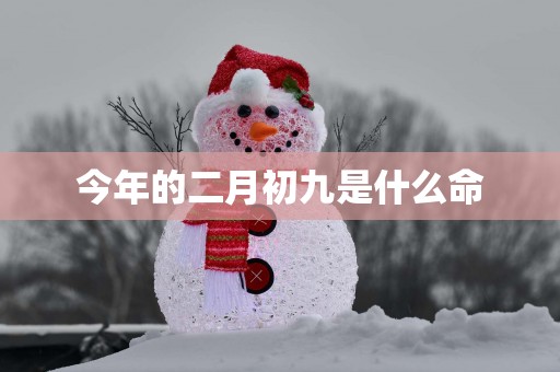 今年的二月初九是什么命
