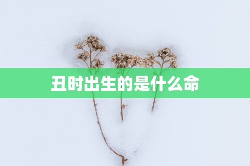 丑时出生的是什么命