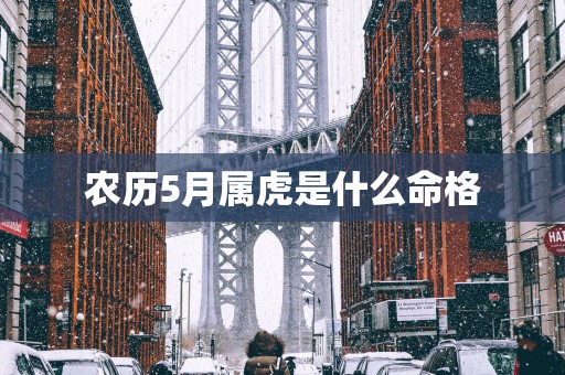 农历5月属虎是什么命格