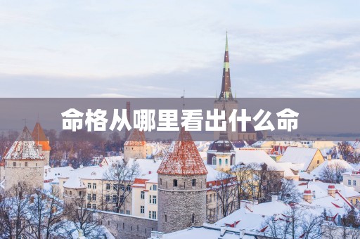 命格从哪里看出什么命