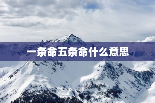 一条命五条命什么意思