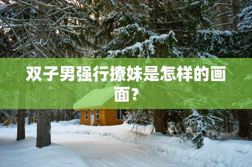 双子男强行撩妹是怎样的画面？