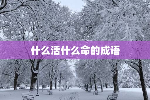 什么活什么命的成语