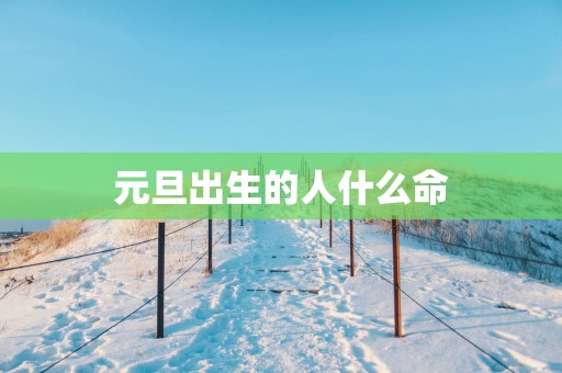 元旦出生的人什么命