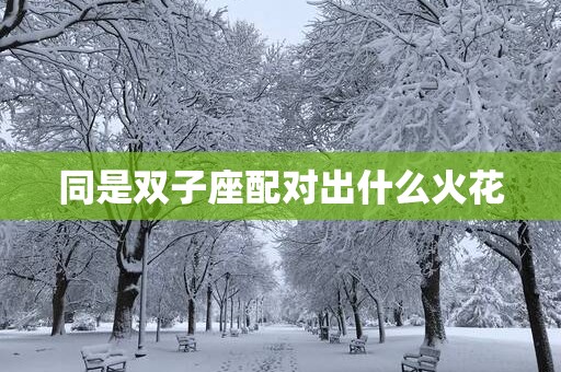 同是双子座配对出什么火花