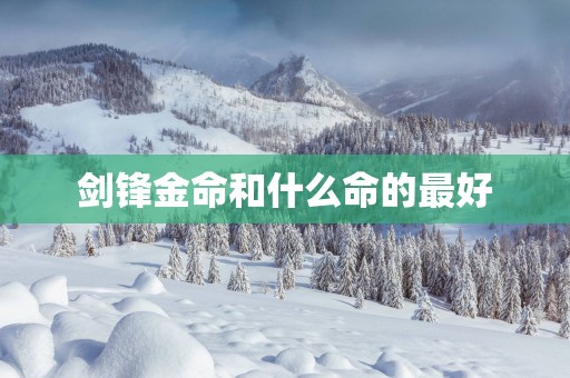 剑锋金命和什么命的最好
