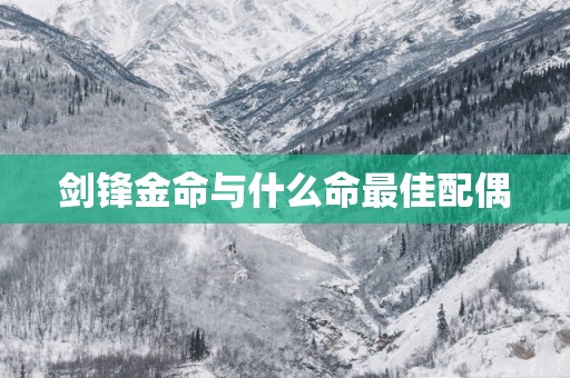 剑锋金命与什么命最佳配偶