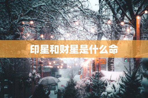 印星和财星是什么命