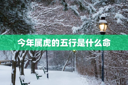 今年属虎的五行是什么命