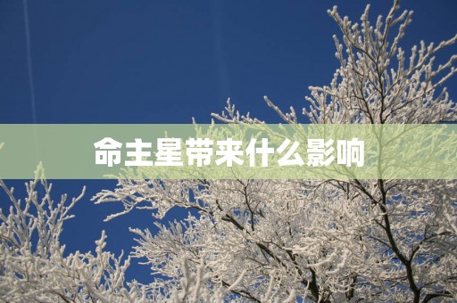 命主星带来什么影响