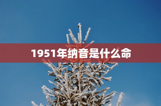 1951年纳音是什么命