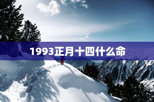 1993正月十四什么命