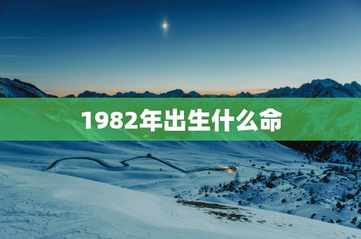 1982年出生什么命