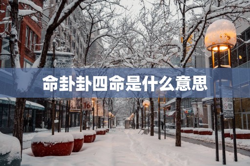 命卦卦四命是什么意思