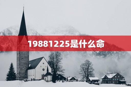 19881225是什么命