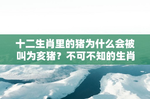 十二生肖里的猪为什么会被叫为亥猪？不可不知的生肖知识