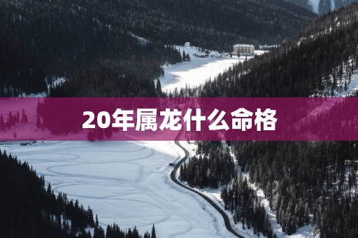 20年属龙什么命格