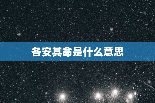 各安其命是什么意思
