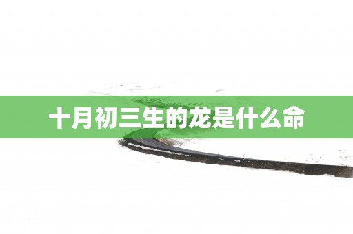十月初三生的龙是什么命
